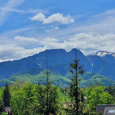 Domki Mroz Zakopane Kültér fotó