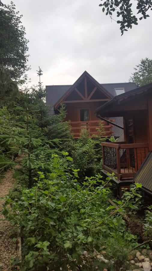 Domki Mroz Zakopane Kültér fotó