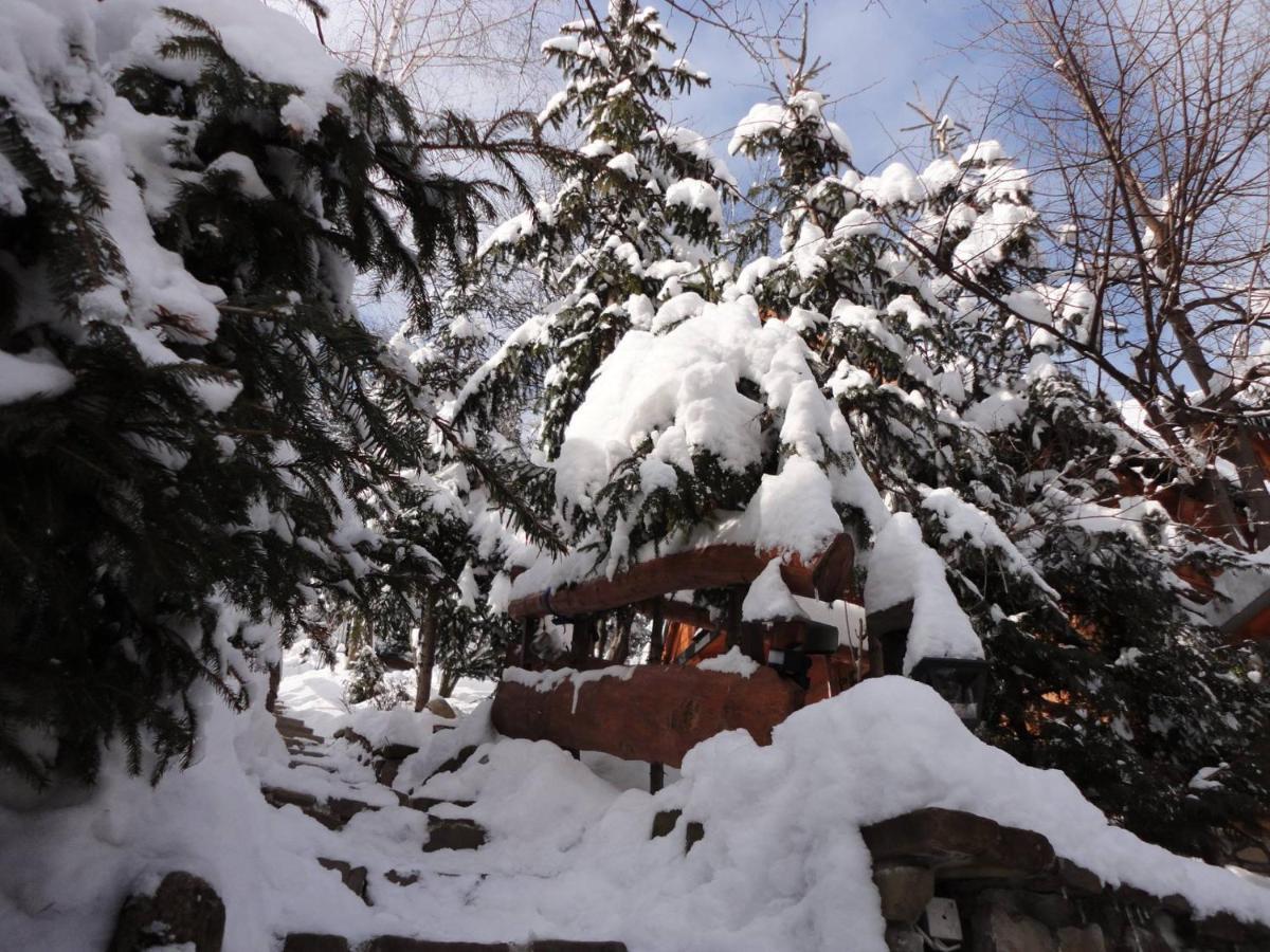 Domki Mroz Zakopane Kültér fotó