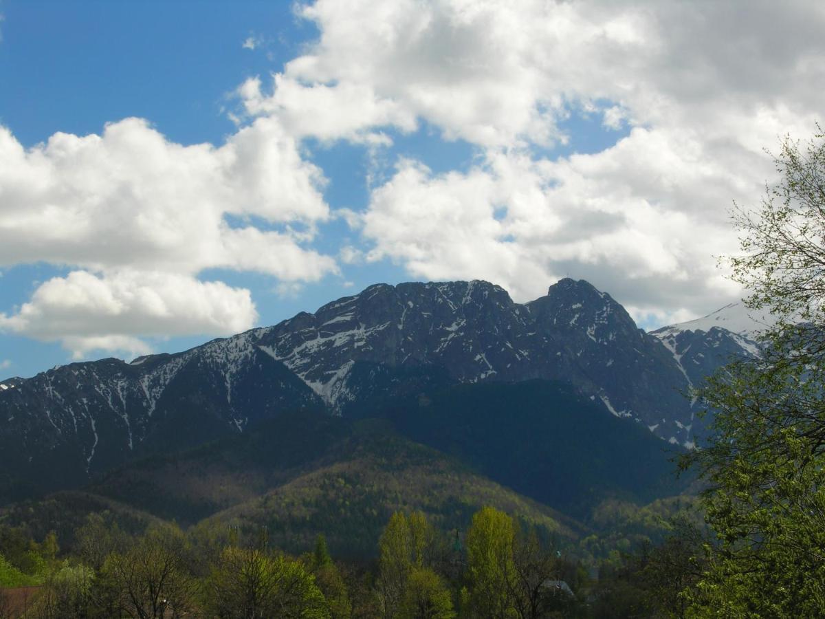 Domki Mroz Zakopane Kültér fotó