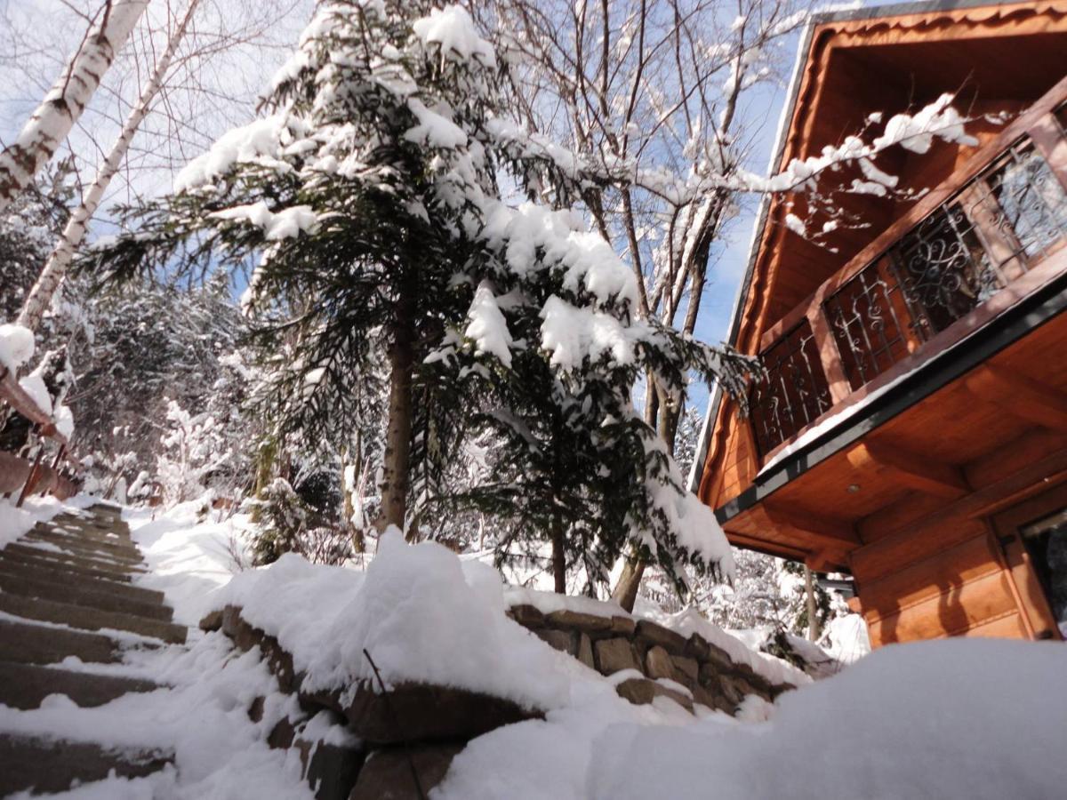 Domki Mroz Zakopane Kültér fotó