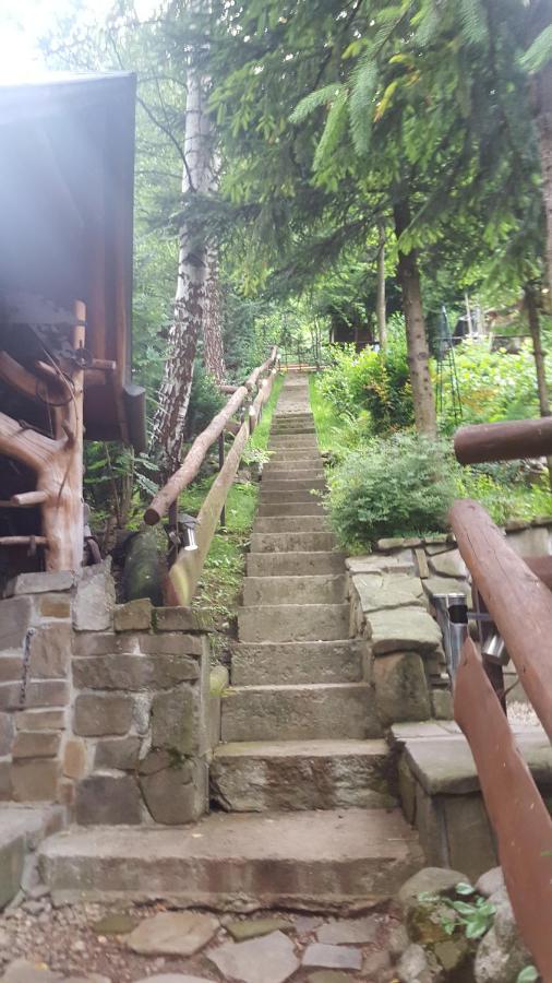 Domki Mroz Zakopane Kültér fotó