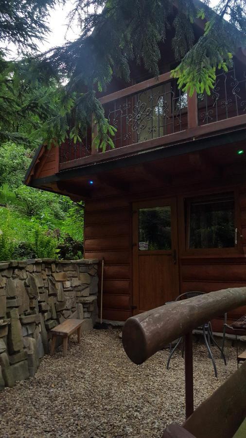 Domki Mroz Zakopane Kültér fotó