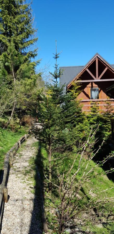 Domki Mroz Zakopane Kültér fotó