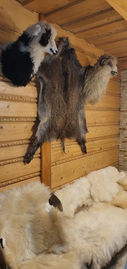 Domki Mroz Zakopane Kültér fotó